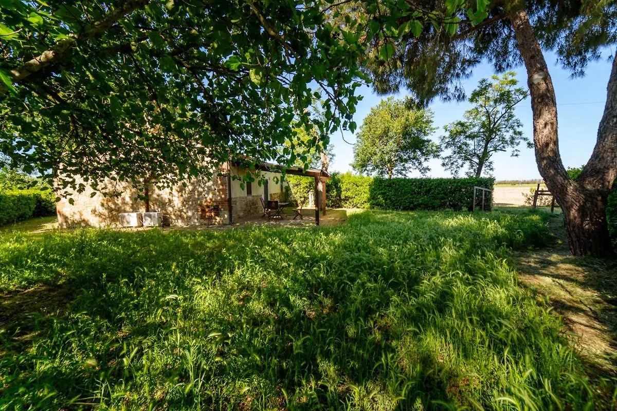 Lägenhetshotell Agriturismo Bio San Mamiliano Grosseto Italien