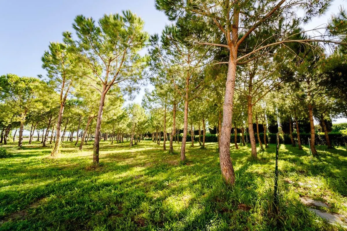 Agriturismo Bio San Mamiliano contacts