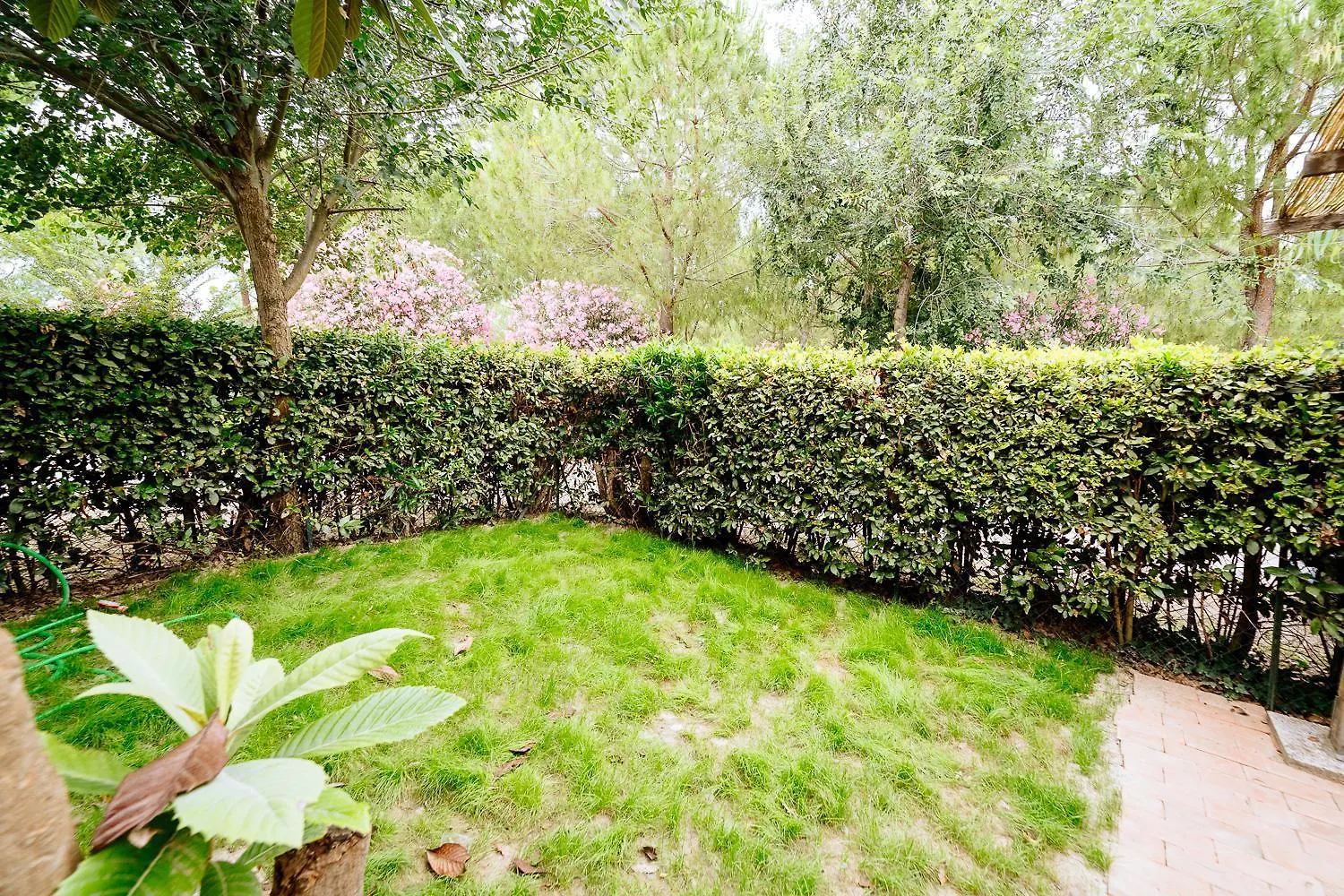 Aparthotel Agriturismo Bio San Mamiliano Grosseto Italy